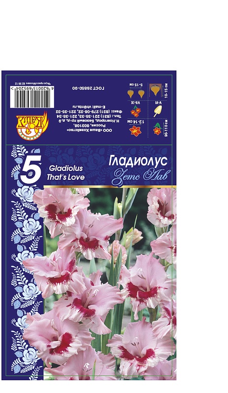 Гладиолус Зетс Лав 1 уп. (3 шт.)